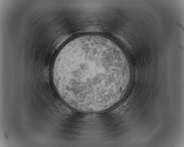 X0000097811162200804041330