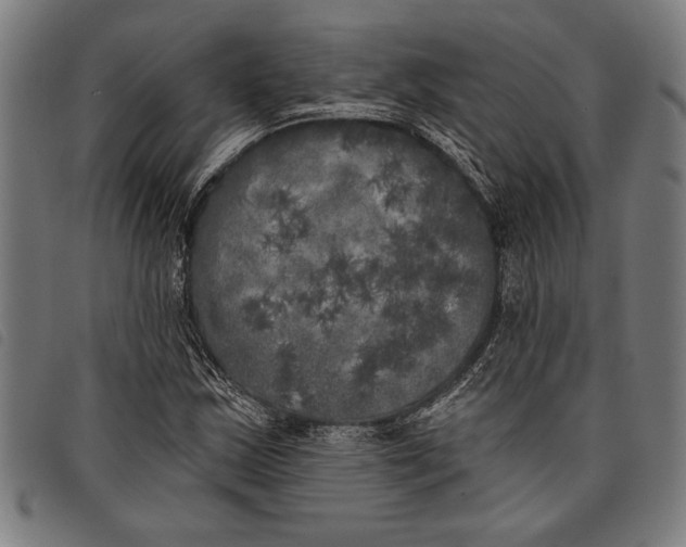 X0000097811163200804041330