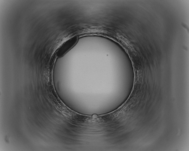 X0000097811165200804041330