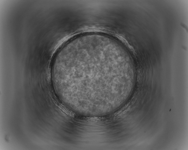 X0000097811167200804041330