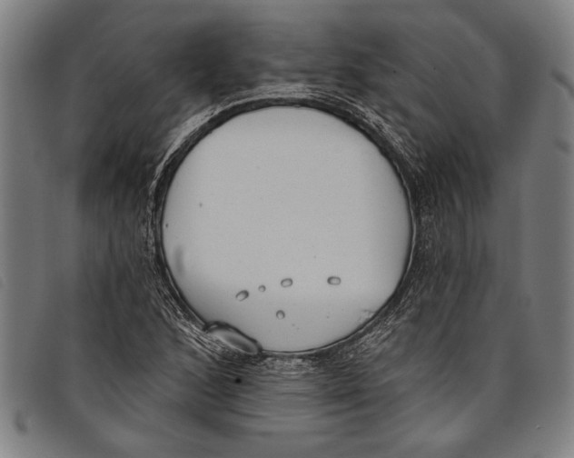 X0000097811168200804041330