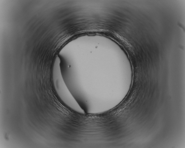 X0000097811169200804041330