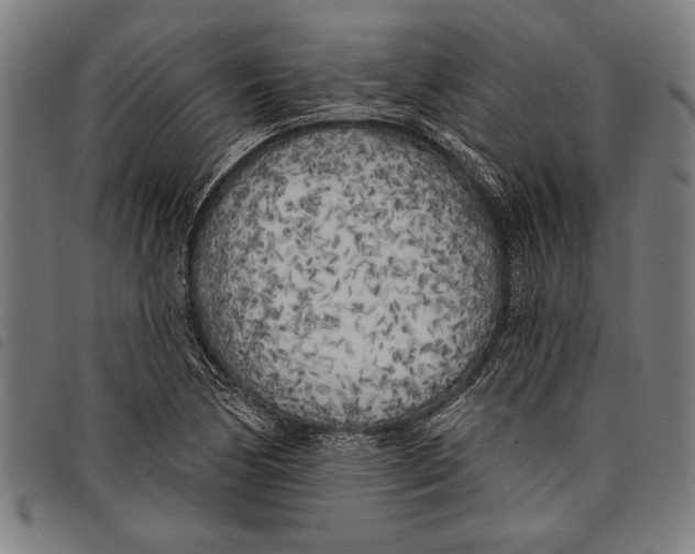 X0000097811170200804041330