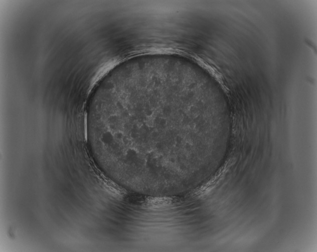 X0000097811171200804041330