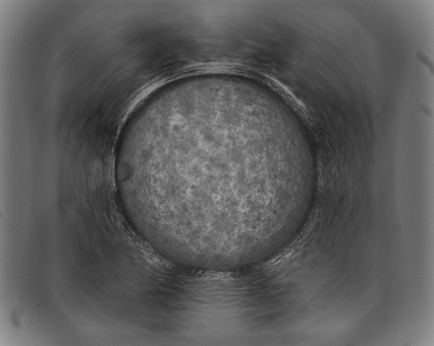 X0000097811174200804041330