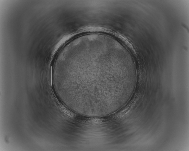 X0000097811175200804041330