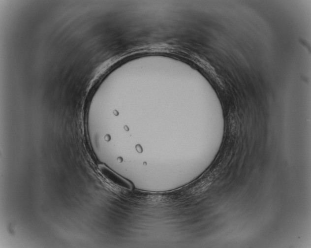 X0000097811176200804041330