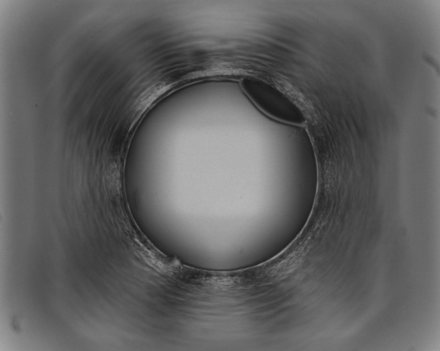 X0000097811177200804041330