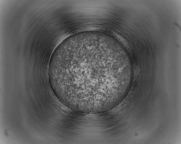 X0000097811178200804041330