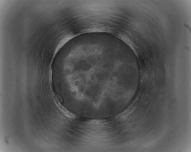 X0000097811179200804041330