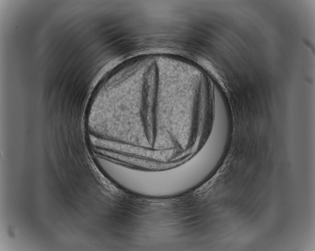 X0000097811181200804041330