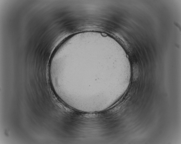 X0000097811182200804041330