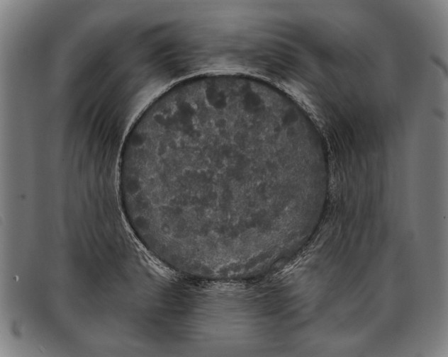 X0000097811183200804041330