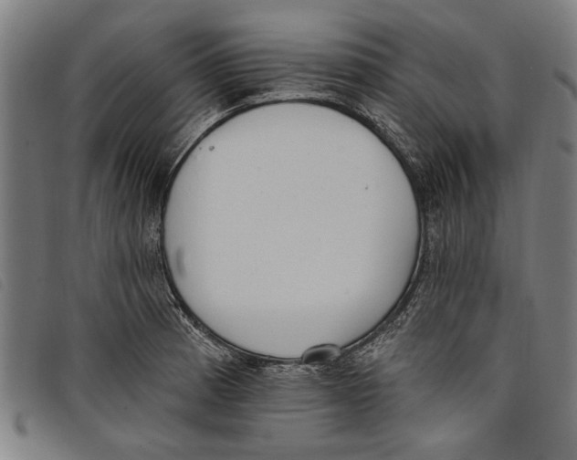 X0000097811185200804041330