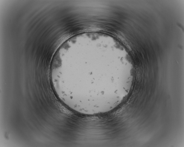 X0000097811186200804041330