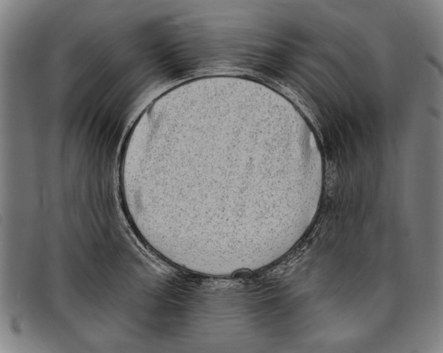 X0000097811187200804041330