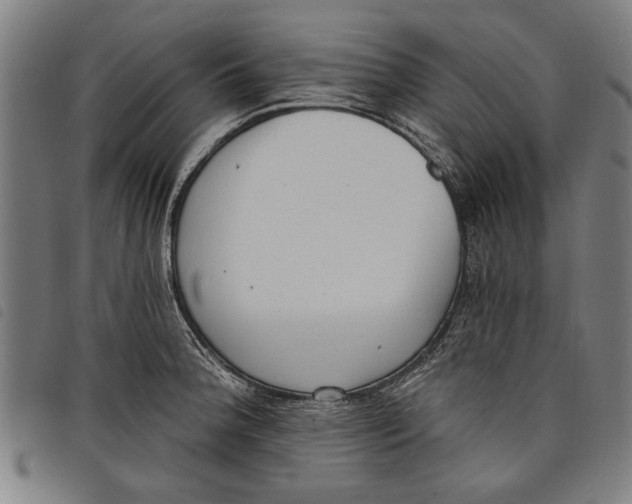 X0000097811188200804041330