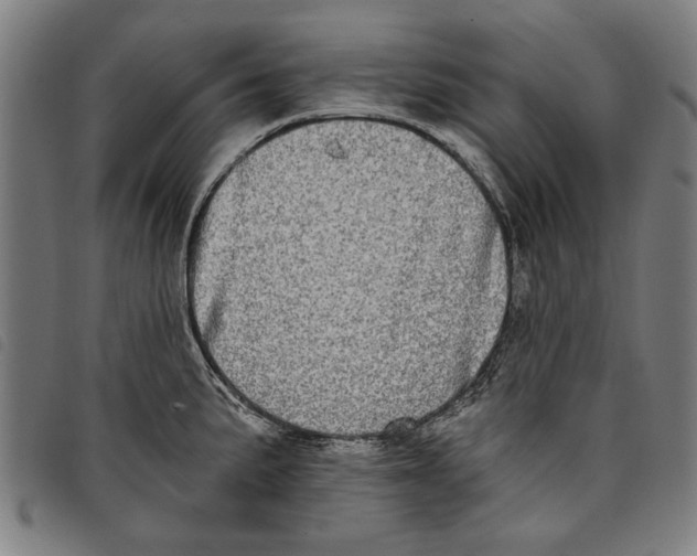 X0000097811191200804041329