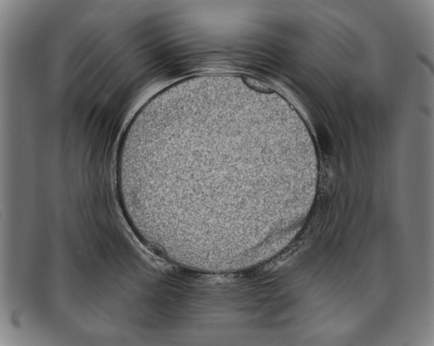 X0000097811195200804041329