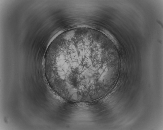 X0000097811198200804041329