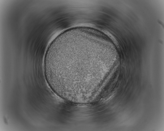 X0000097811199200804041329