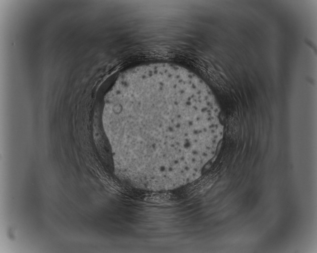 X0000097811201200804041329