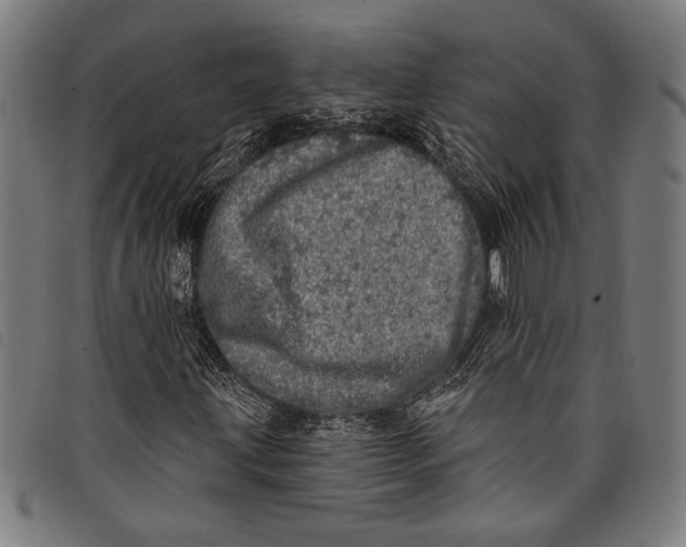 X0000097811203200804041329