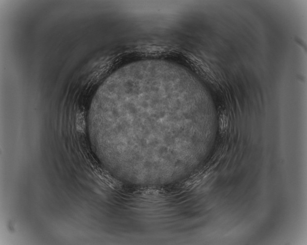 X0000097811204200804041329