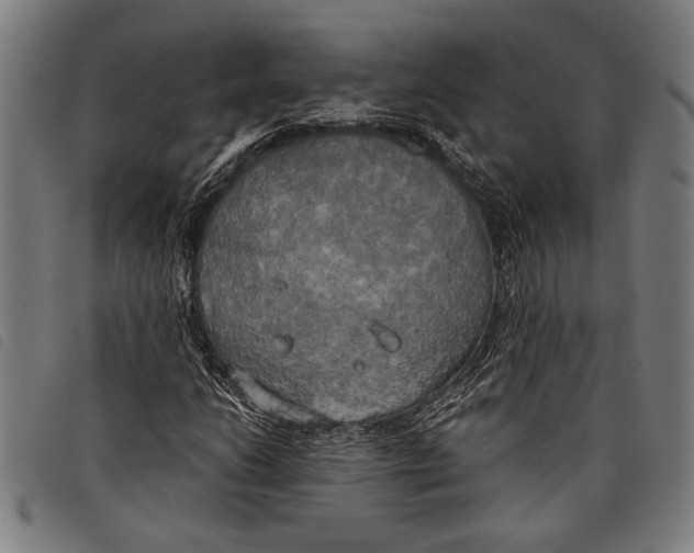 X0000097811206200804041329