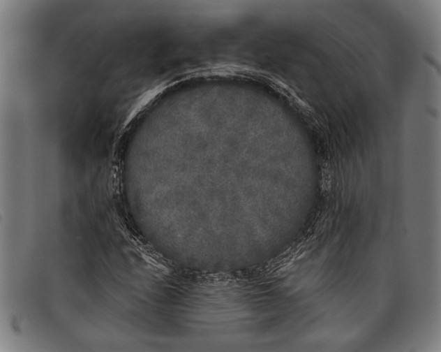 X0000097811208200804041329