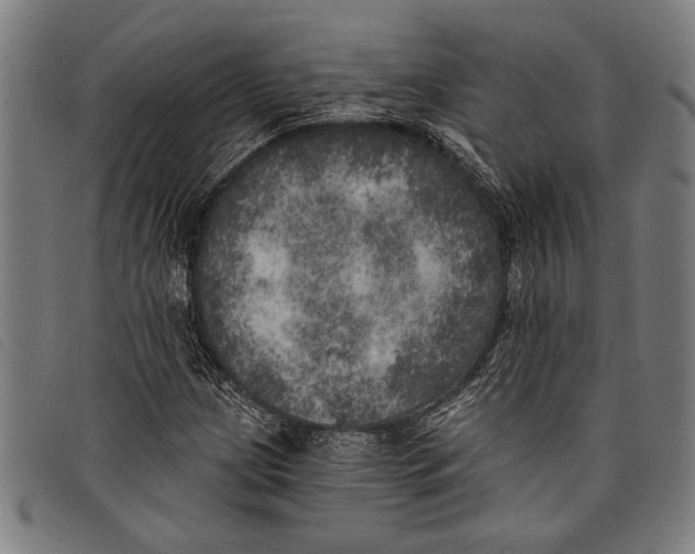 X0000097811209200804041329