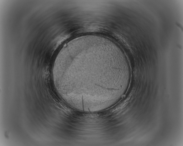 X0000097811210200804041329