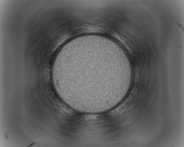 X0000097811211200804041329