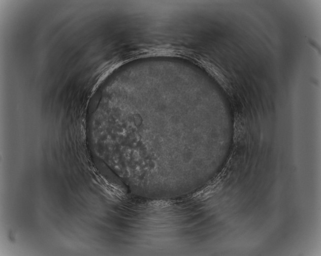 X0000097811212200804041329