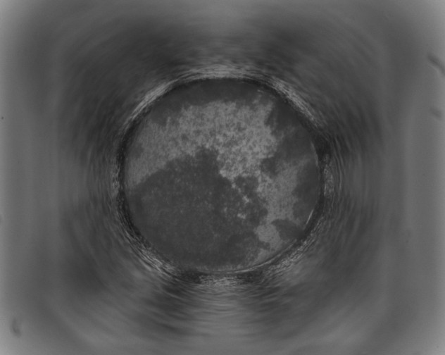 X0000097811213200804041329