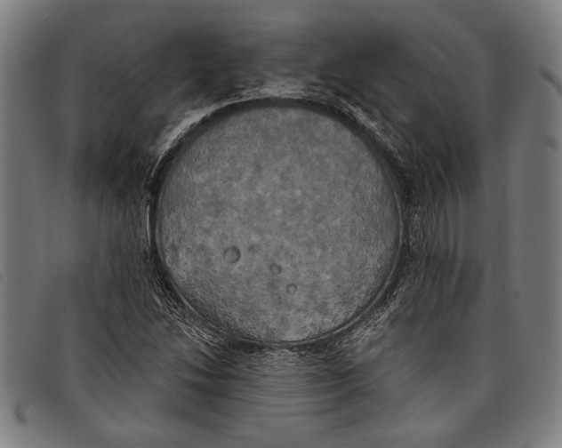 X0000097811214200804041329