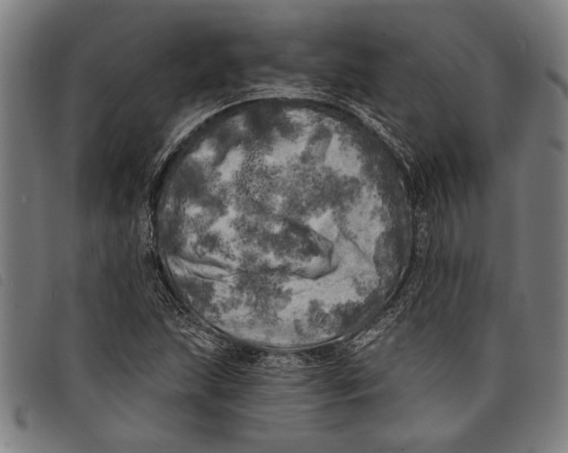 X0000097811215200804041329