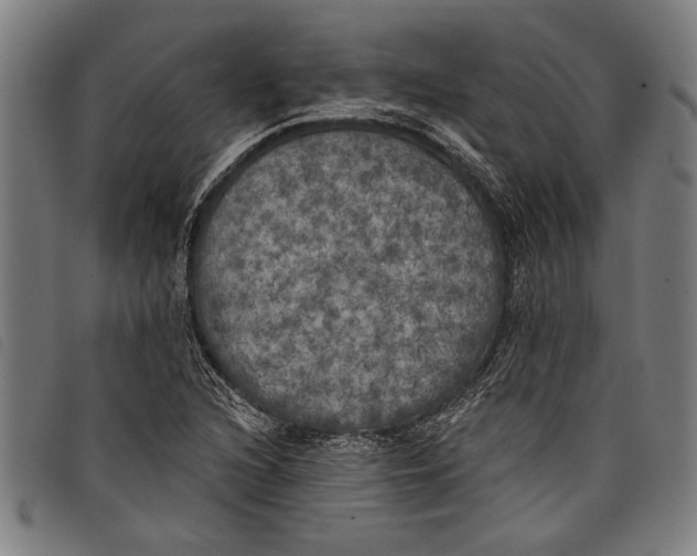 X0000097811216200804041329