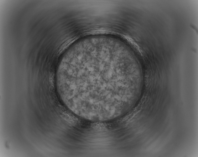 X0000097811217200804041329