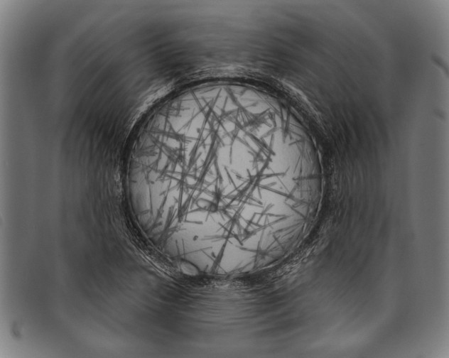 X0000097811218200804041329