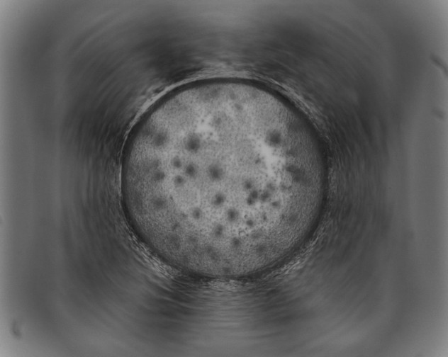 X0000097811220200804041329