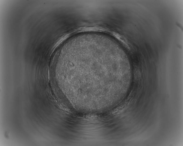 X0000097811221200804041329