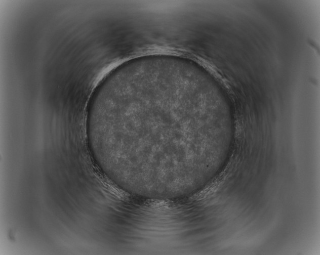 X0000097811222200804041329