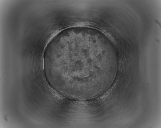 X0000097811224200804041329