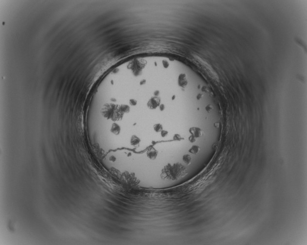 X0000097811226200804041329