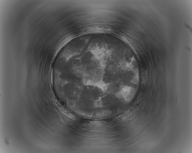 X0000097811227200804041329