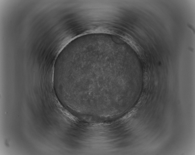 X0000097811228200804041329