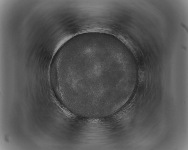 X0000097811230200804041329