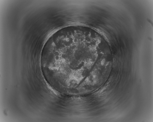 X0000097811231200804041329