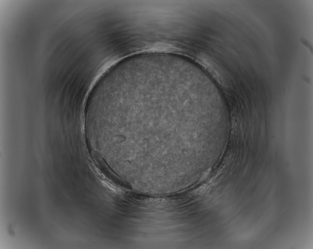 X0000097811232200804041329